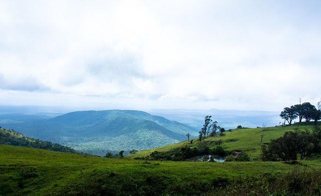 而多特蒙德 而多特蒙德