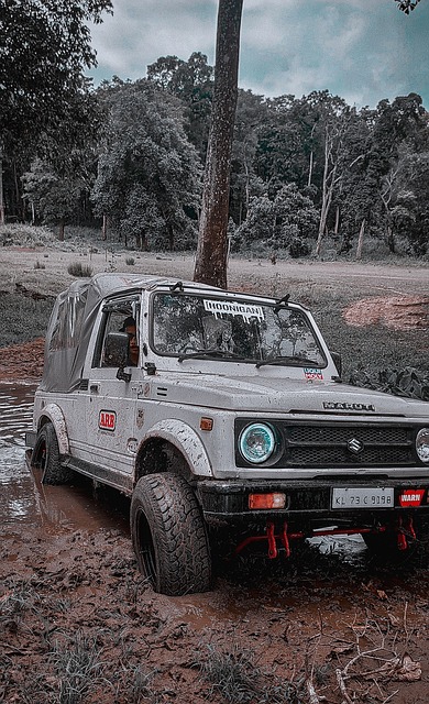 大的心理素 大的心理素