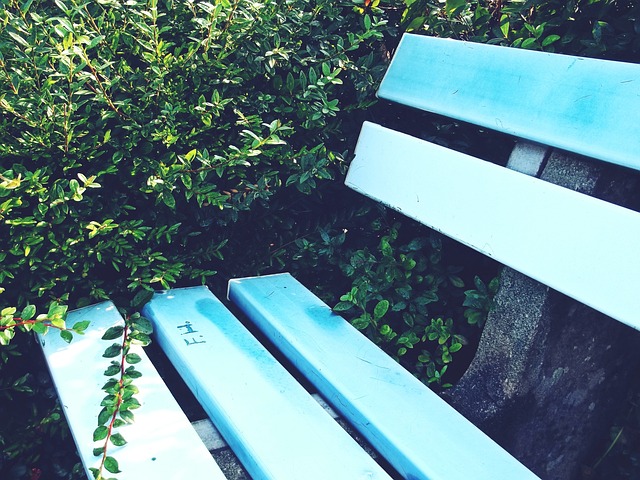 保底附加赛！快船横扫魔术锁定前十 哈登20+5+6小卡复出21+8.