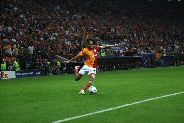 场位置上投 场位置上投